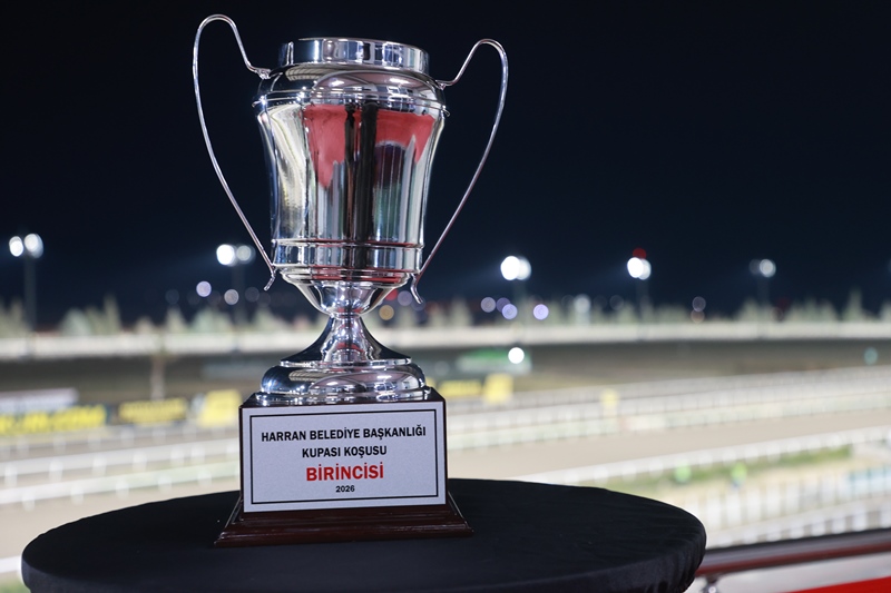 HARRAN BELEDİYESİ KOŞUSU'NU PİRATE OF THE SEA KAZANDI